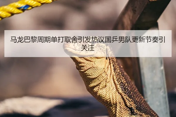 马龙巴黎周期单打取舍引发热议国乒男队更新节奏引关注